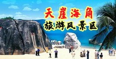 拨插拨插8X8X华人免费视频海南三亚-天崖海角旅游风景区
