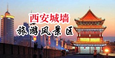 迷奸处女日韩中国陕西-西安城墙旅游风景区